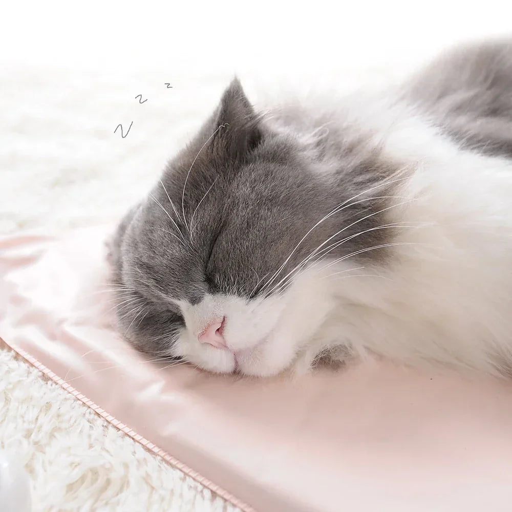 Winter Pet Heating Blanket Waterproof Wearable Wear Resistant